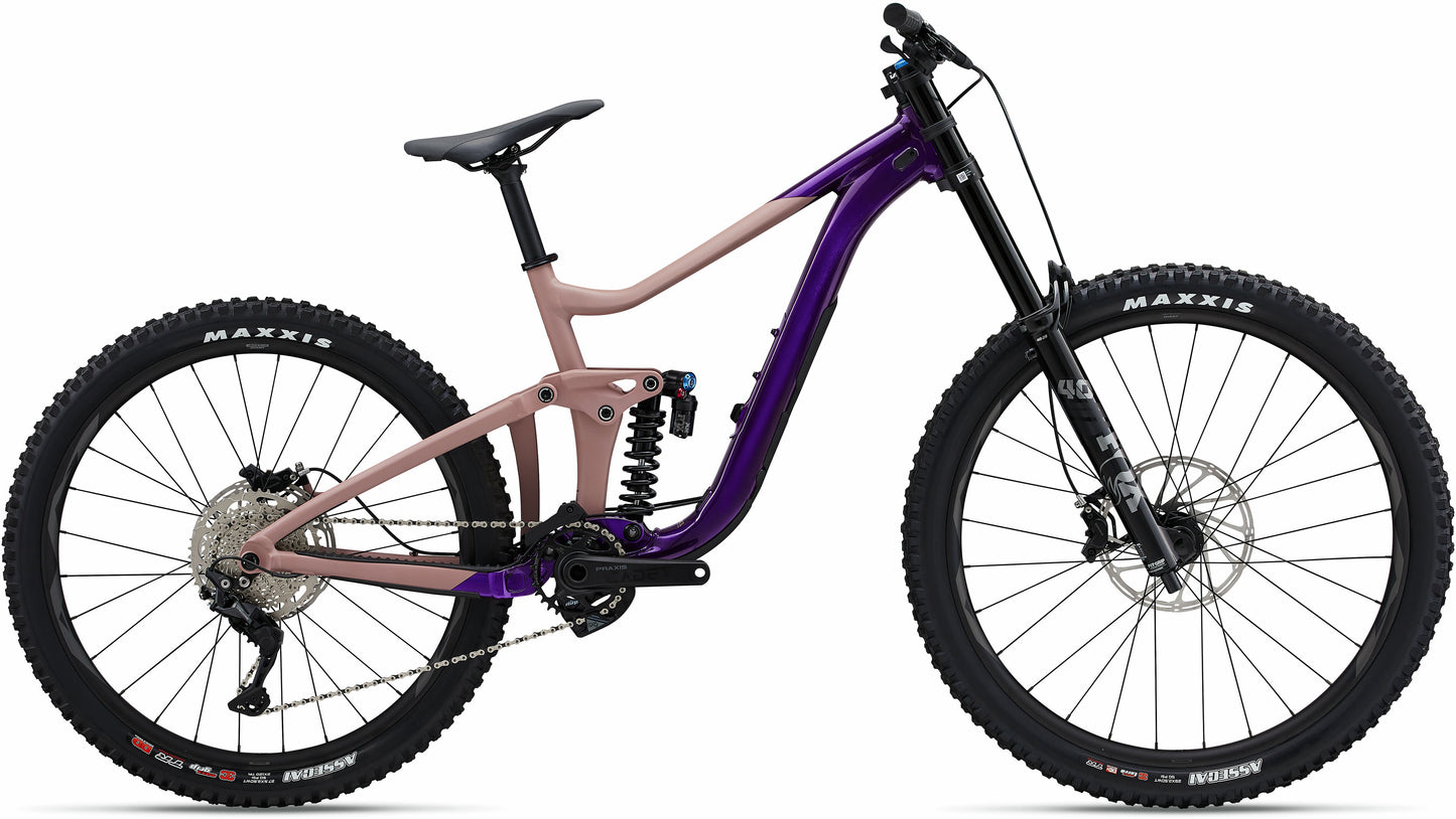 Giant Reign SX