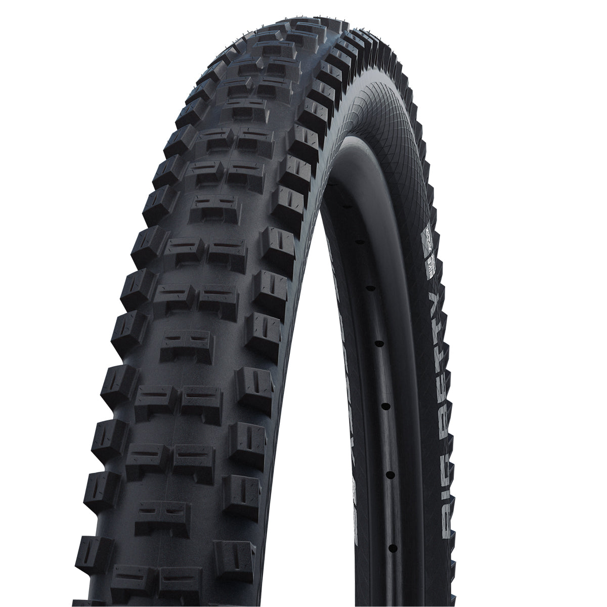 Schwalbe Addix Big Betty Performance BikePark Tyre in Black (Wired) - 26 x 2.40"