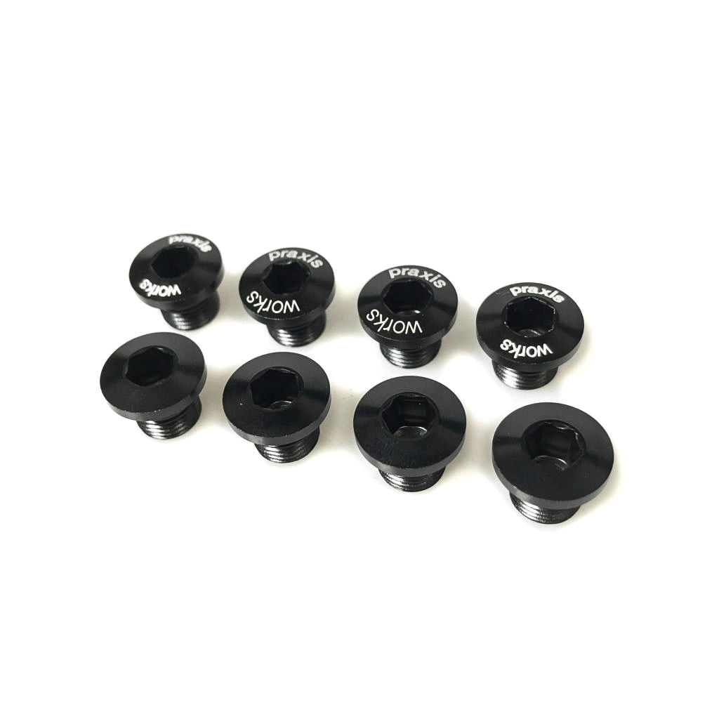 Praxis - SPARE - X-Ring Bolts